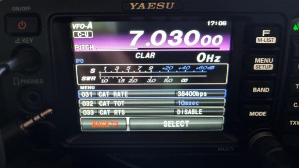 FT991a-cat-settings.jpg